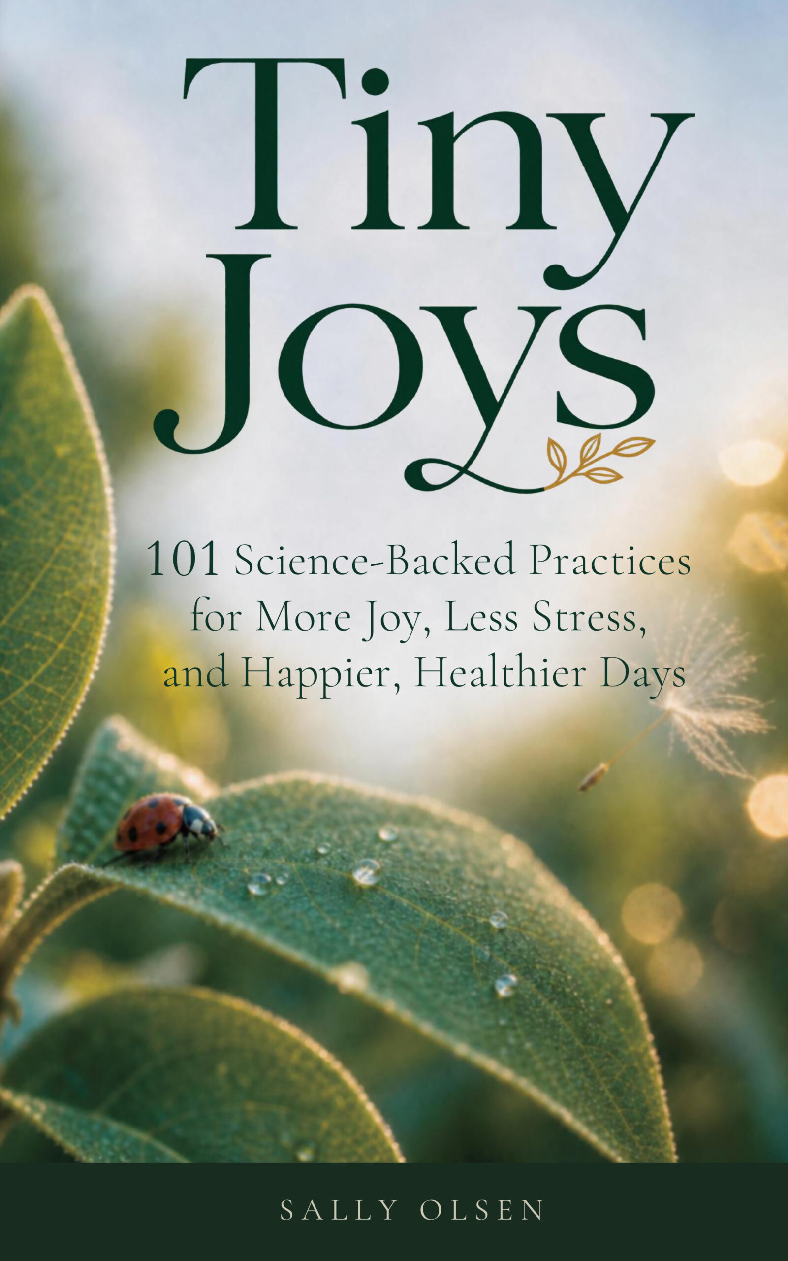 Tiny Joys book cover